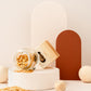 Decorative Eco Glitter - Gold Star Dust