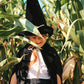 Magic Cape Costume - Black Riding Hood